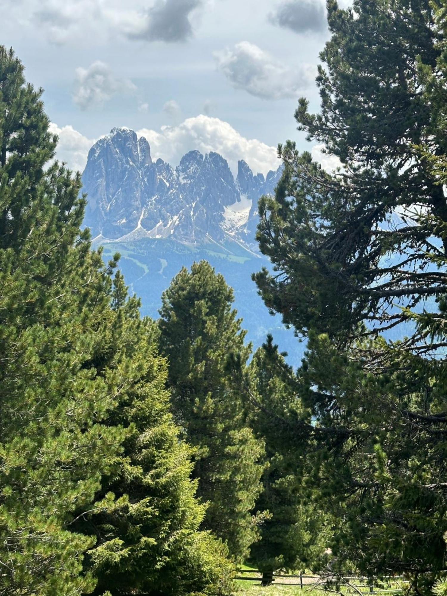 Chalet Da Mont Resciesa Ортизей Екстериор снимка