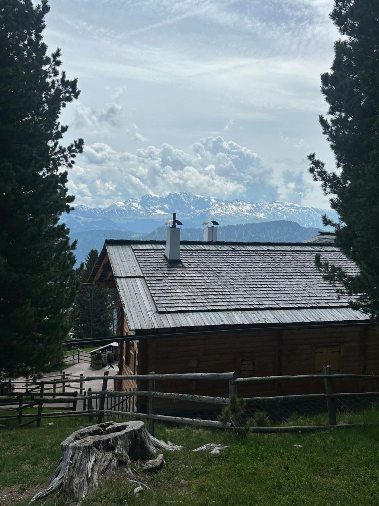 Chalet Da Mont Resciesa Ортизей Екстериор снимка